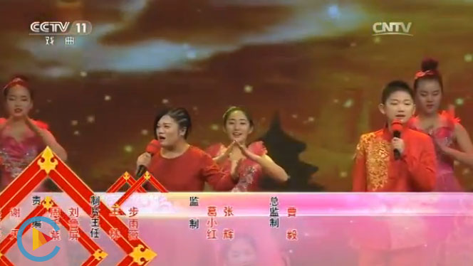 CCTV11 枫华艺术培训中心