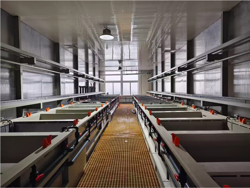 Automatic silver plating production line