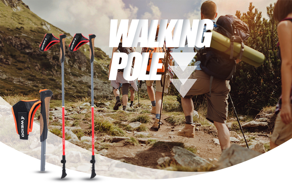 步行杖海报psd 拷贝