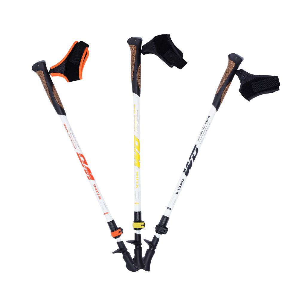 儿童徒步杖 外锁