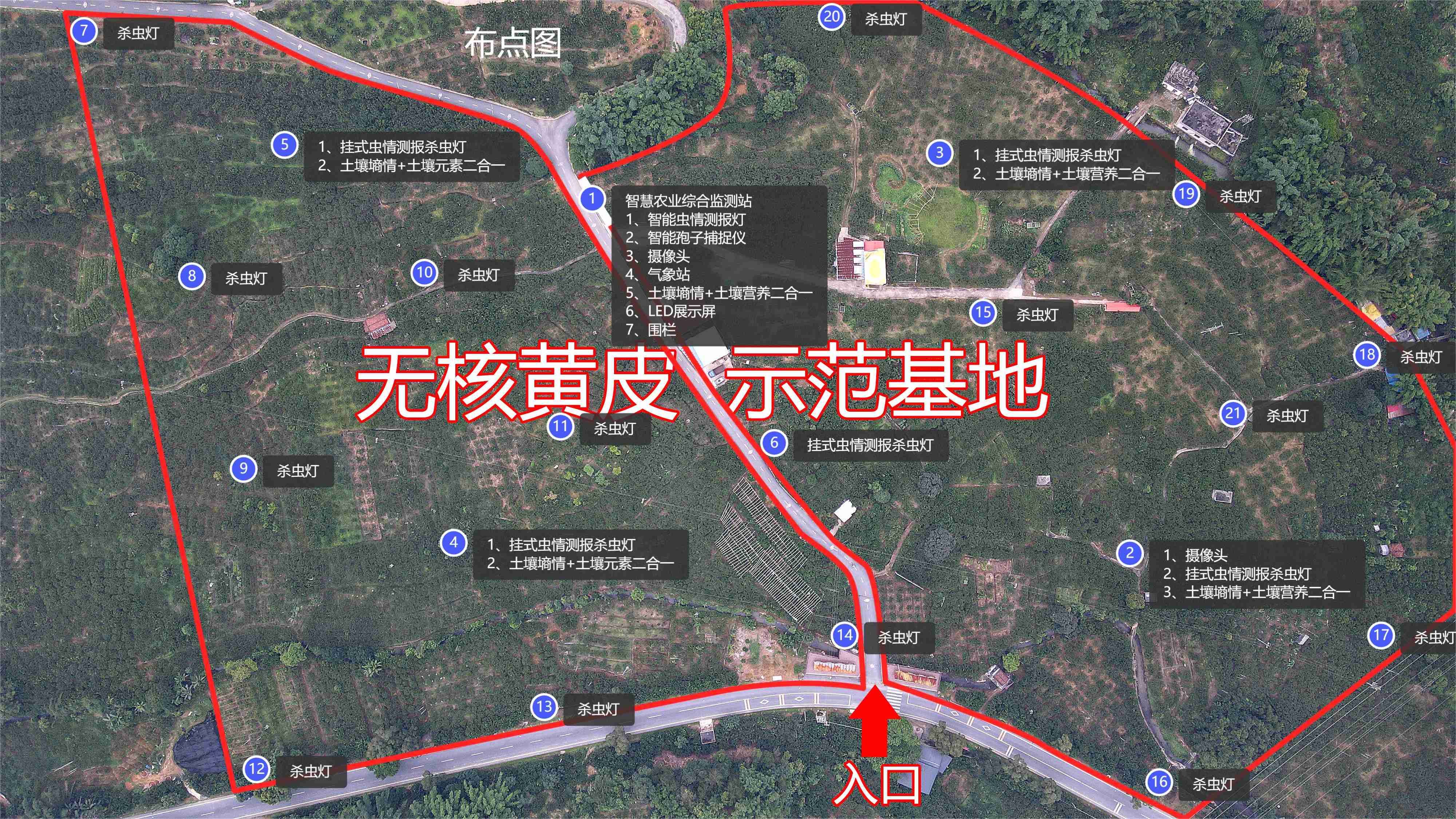  众禾慧农黄皮果智慧果园项目-智慧农业-智慧果园-示范基地