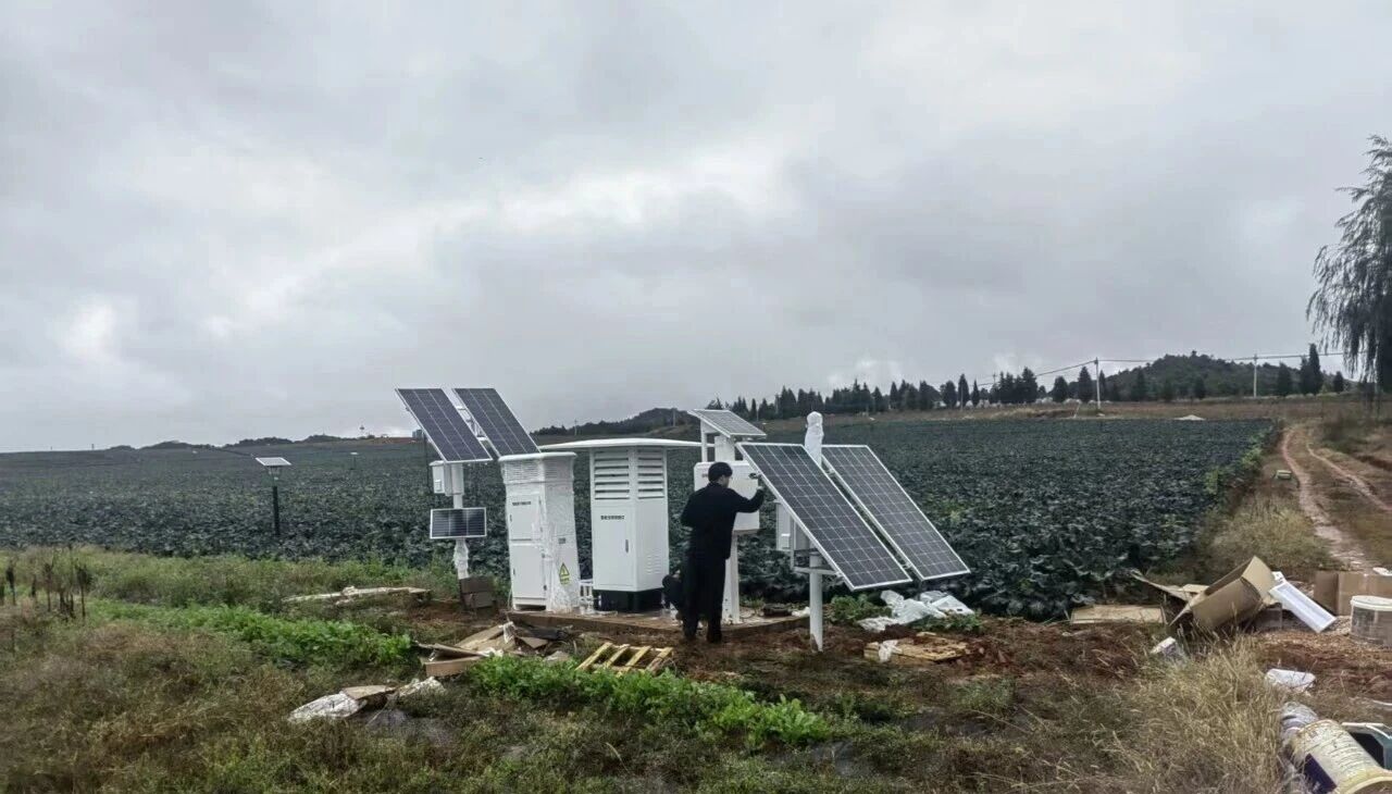 云南曲靖项目-农业四情监测-孢子捕捉仪