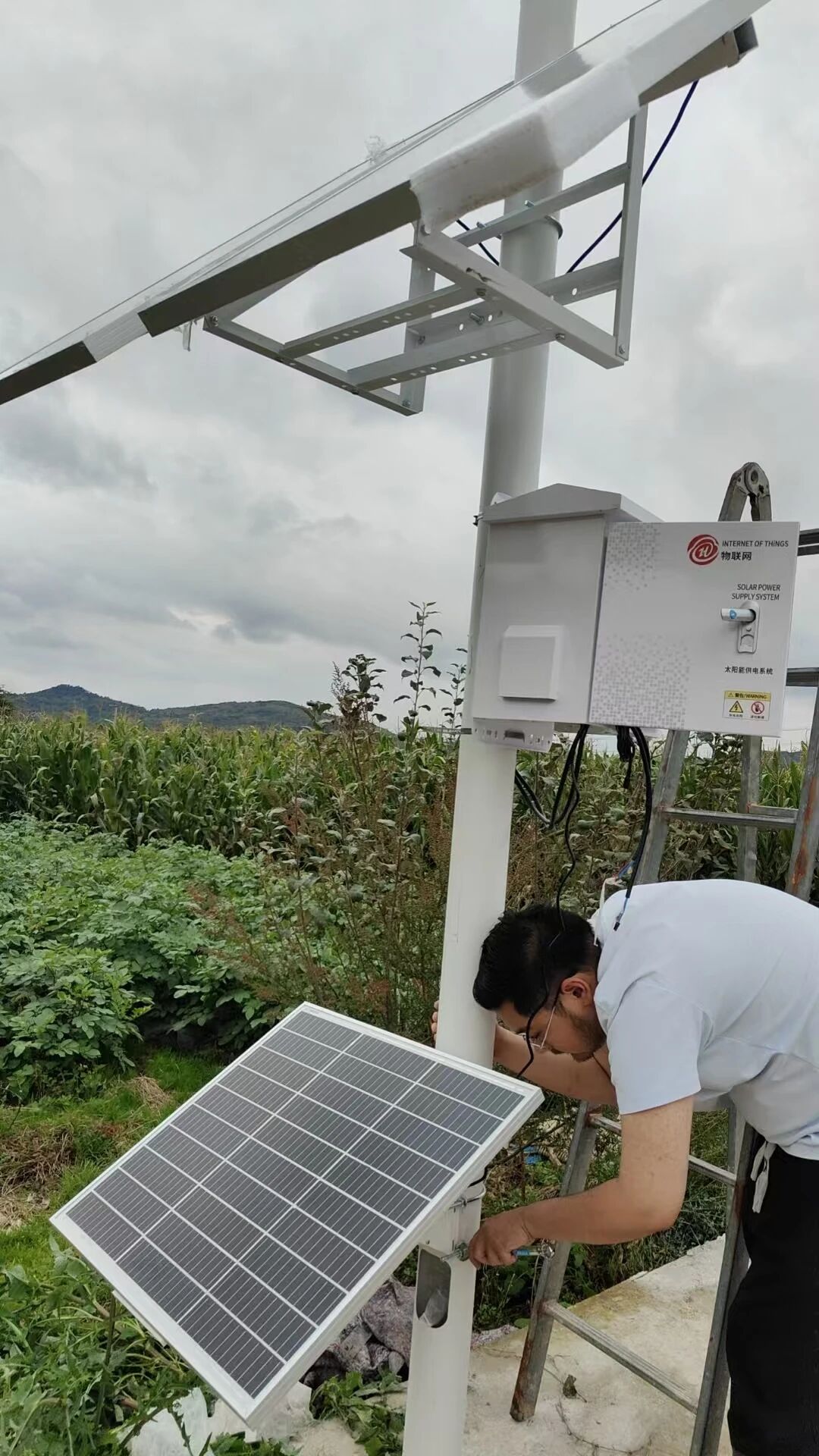 云南曲靖项目-农业四情监测-害虫性诱监测仪