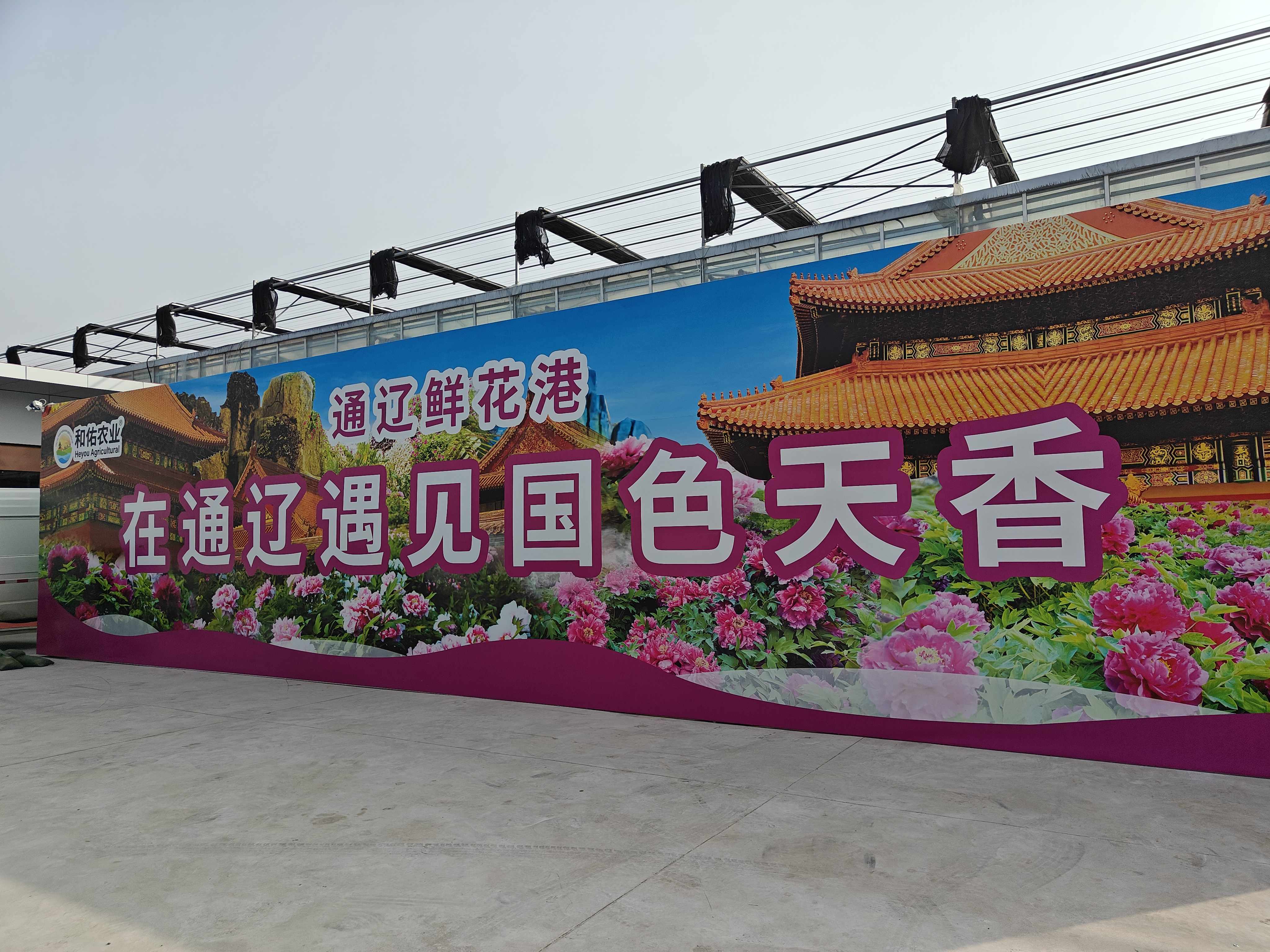 内蒙古通辽-智慧农业-数字大棚-温室自动化控制-通辽鲜花港