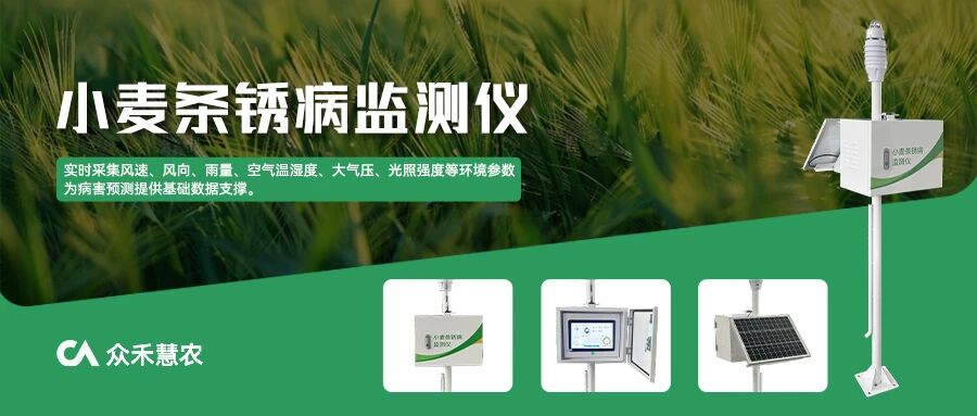 【产品介绍】小麦条锈病监测仪