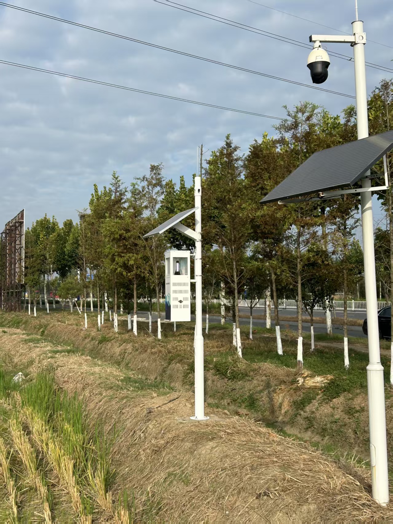 【湖北武汉】江汉大米智慧农业升级：虫情测报灯、土壤墒情与气象监测站助力武汉水稻提质增效