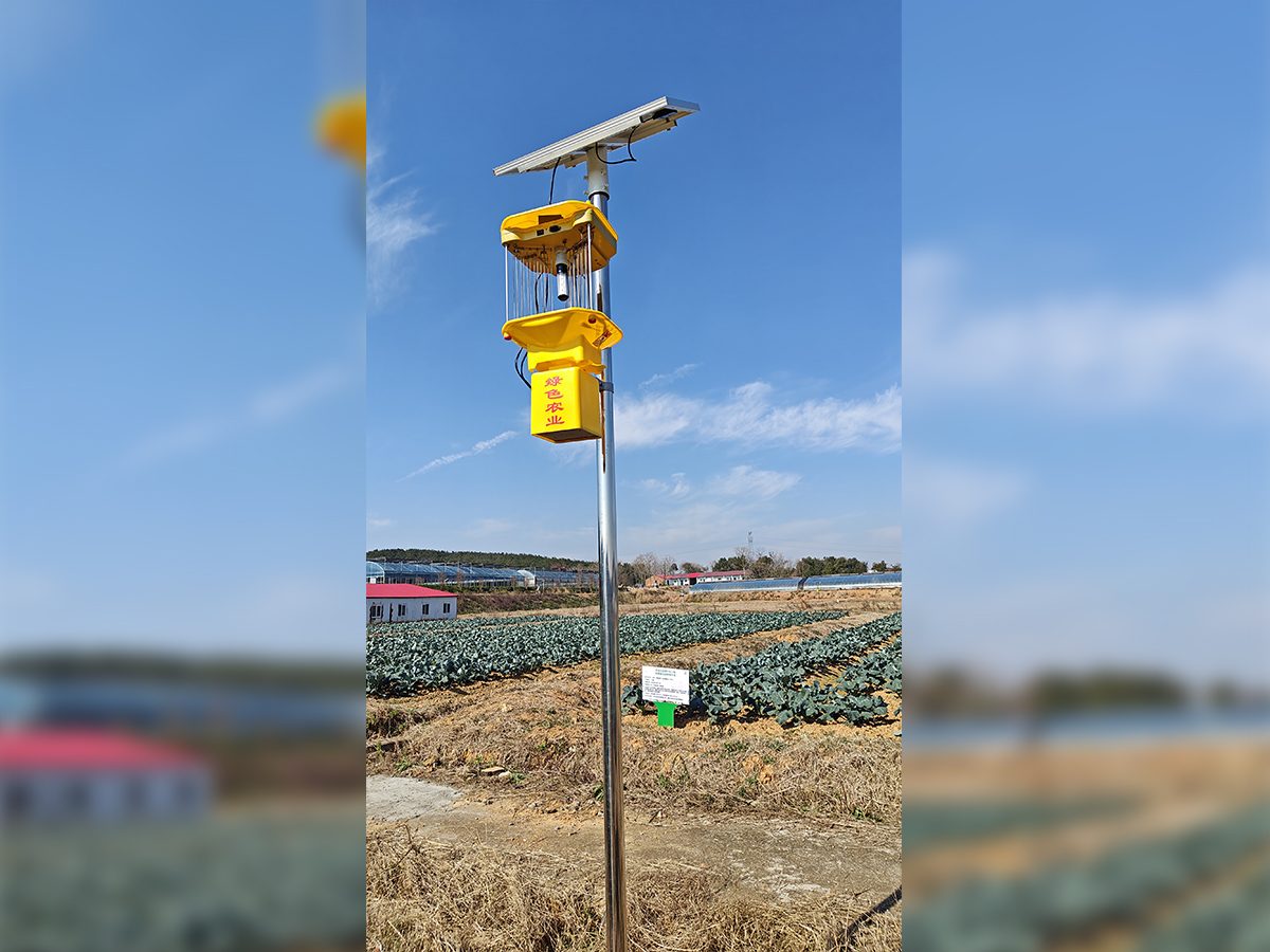 热销款风吸式杀虫灯