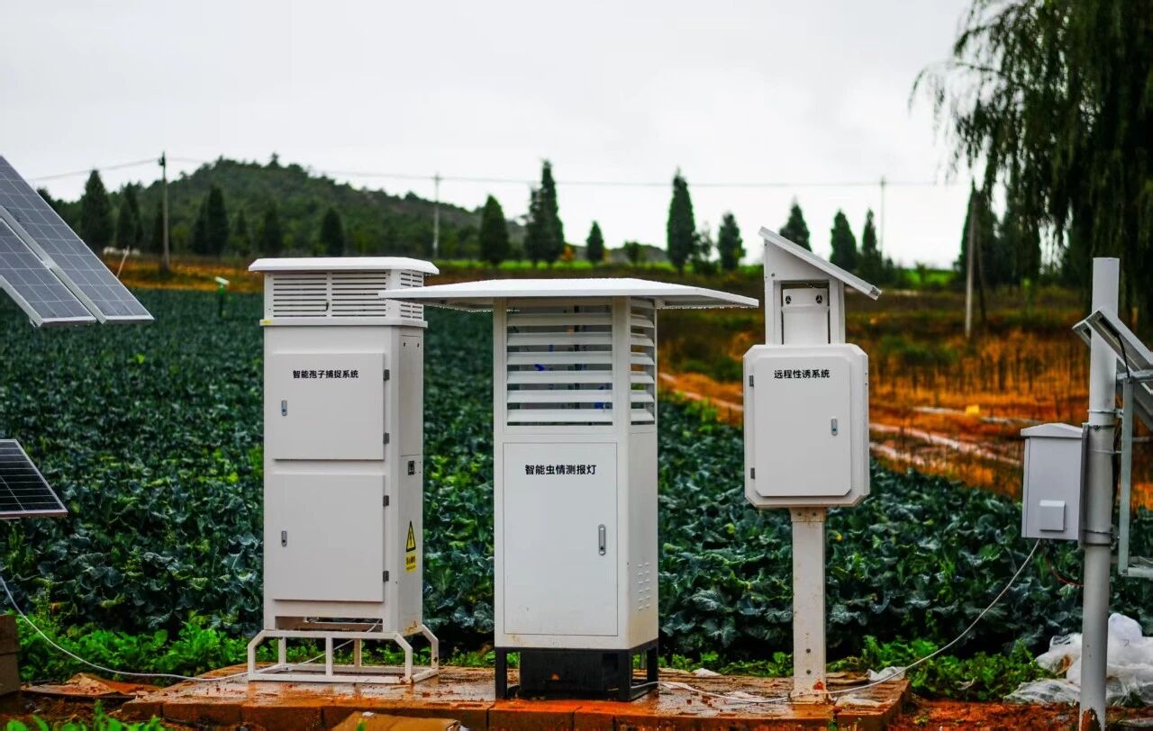 云南曲靖项目-农业四情监测