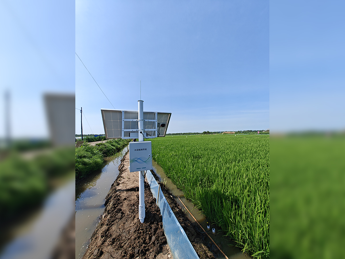 水田监测系统