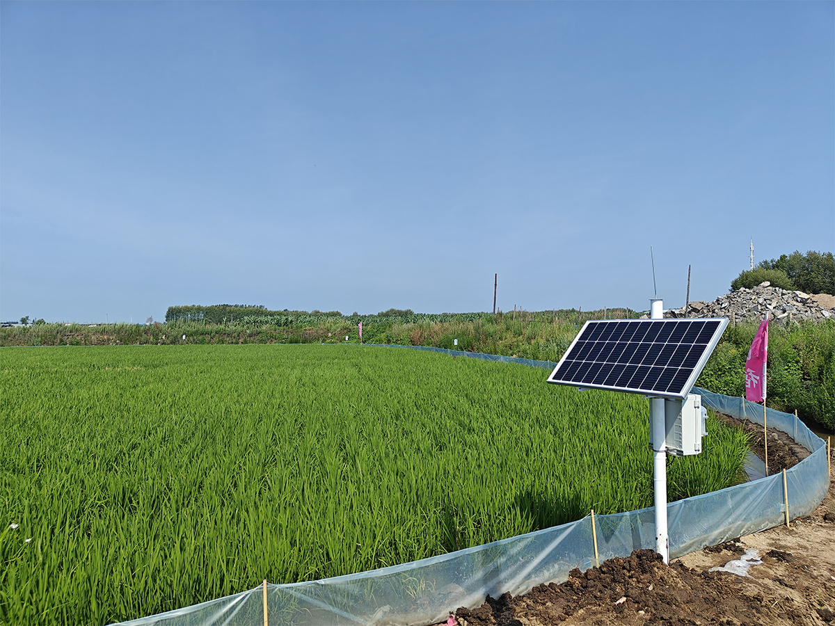 水田监测系统