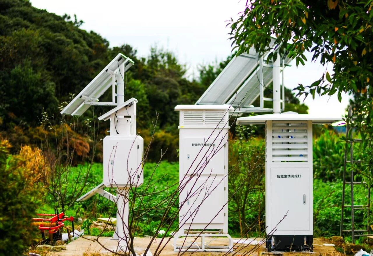 云南曲靖项目-农业四情监测-气象站