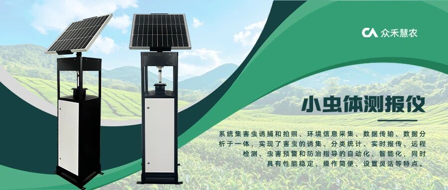 【产品介绍】小虫体测报仪：毫米级害虫无处遁形