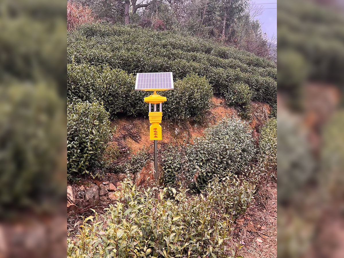 热销款风吸式杀虫灯