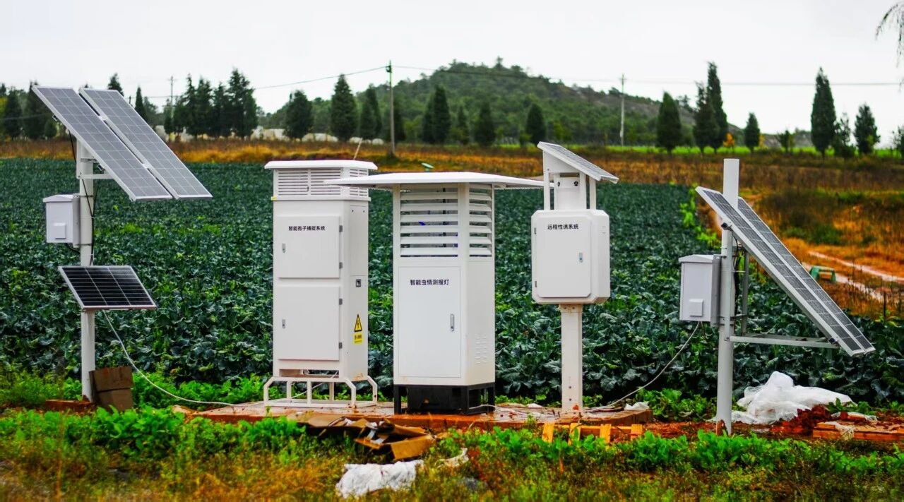 【云南曲靖】众禾慧农打造山区烟草种植病虫害智能预警新样板