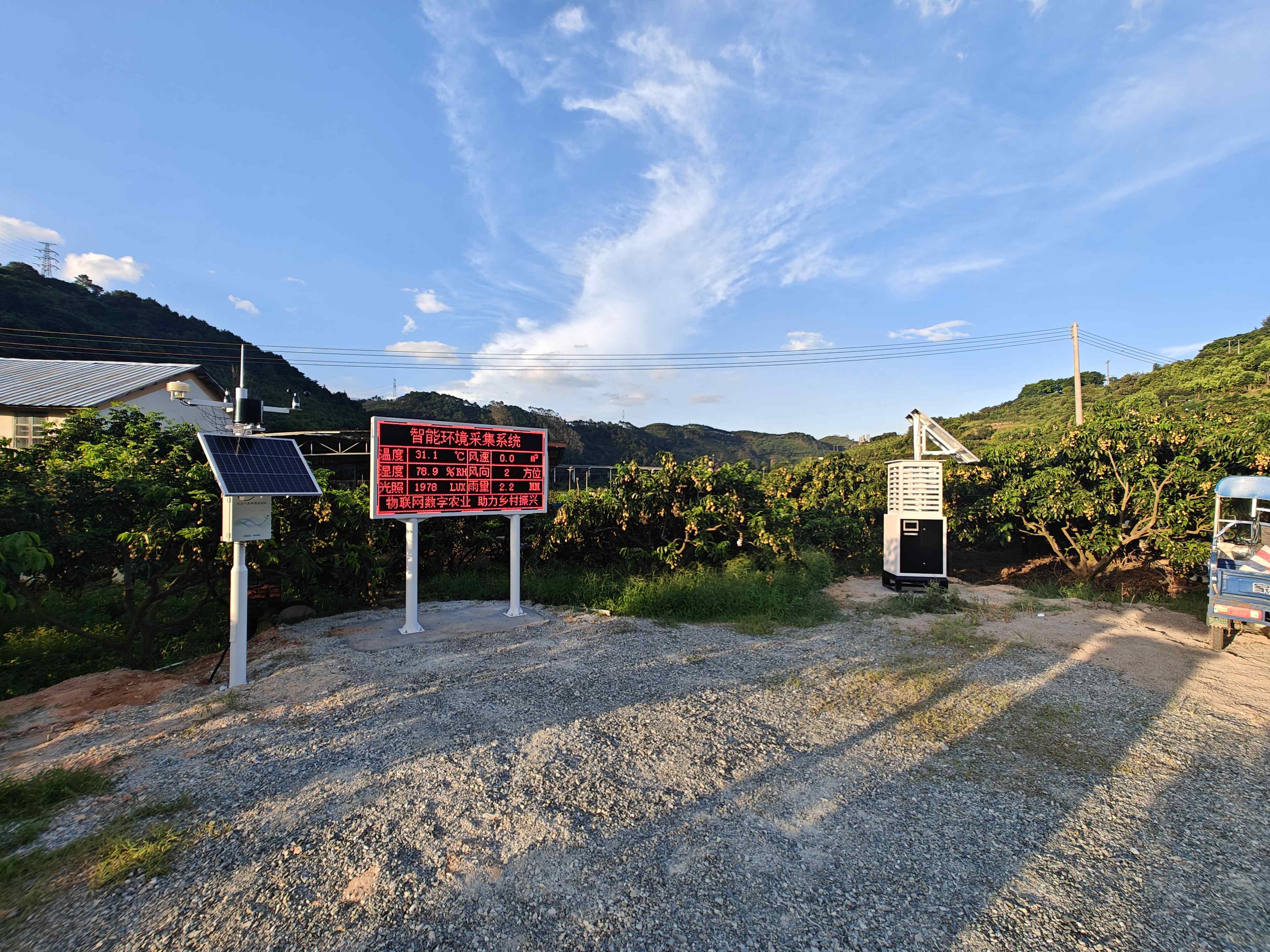 【广东云浮】黄皮果智慧果园：当传统果业遇上“数字农耕”