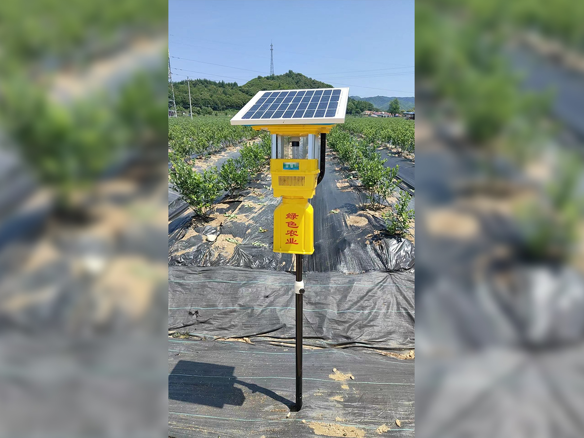 热销款风吸式杀虫灯