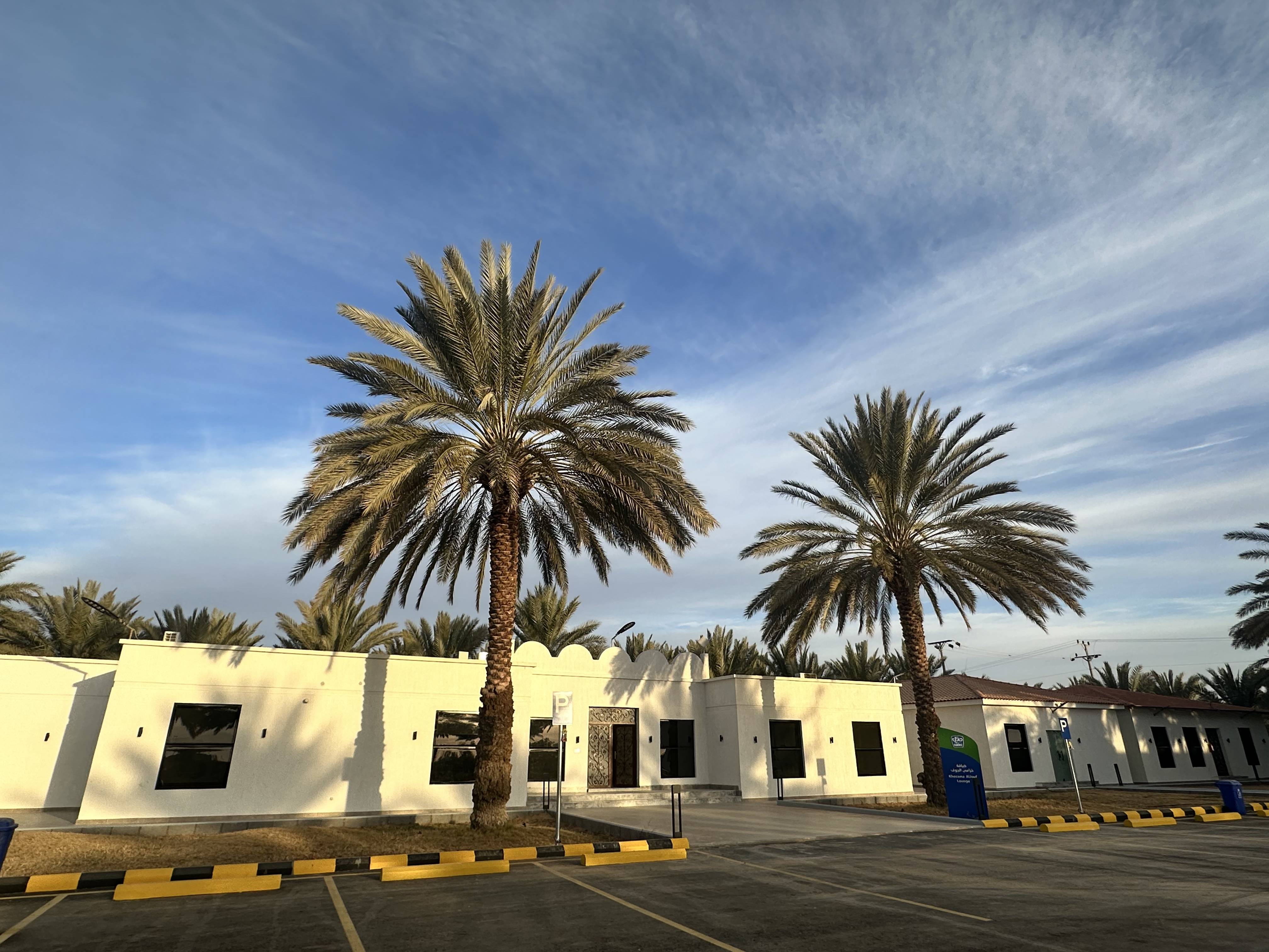 中东-智慧农业-智能灌溉-数字橄榄示范园区