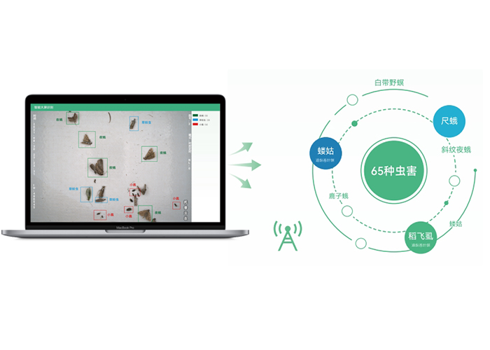 众禾智慧科技专注智慧农业物联网领域，提供虫情测报、病害监测、环境监测等全系列硬件设备及云平台解决方案。自主研发，厂家直销，支持招投标定制，助力农业数字化升级。案例覆盖山东、广东、江西等地，打造高效可持续的未来农业。