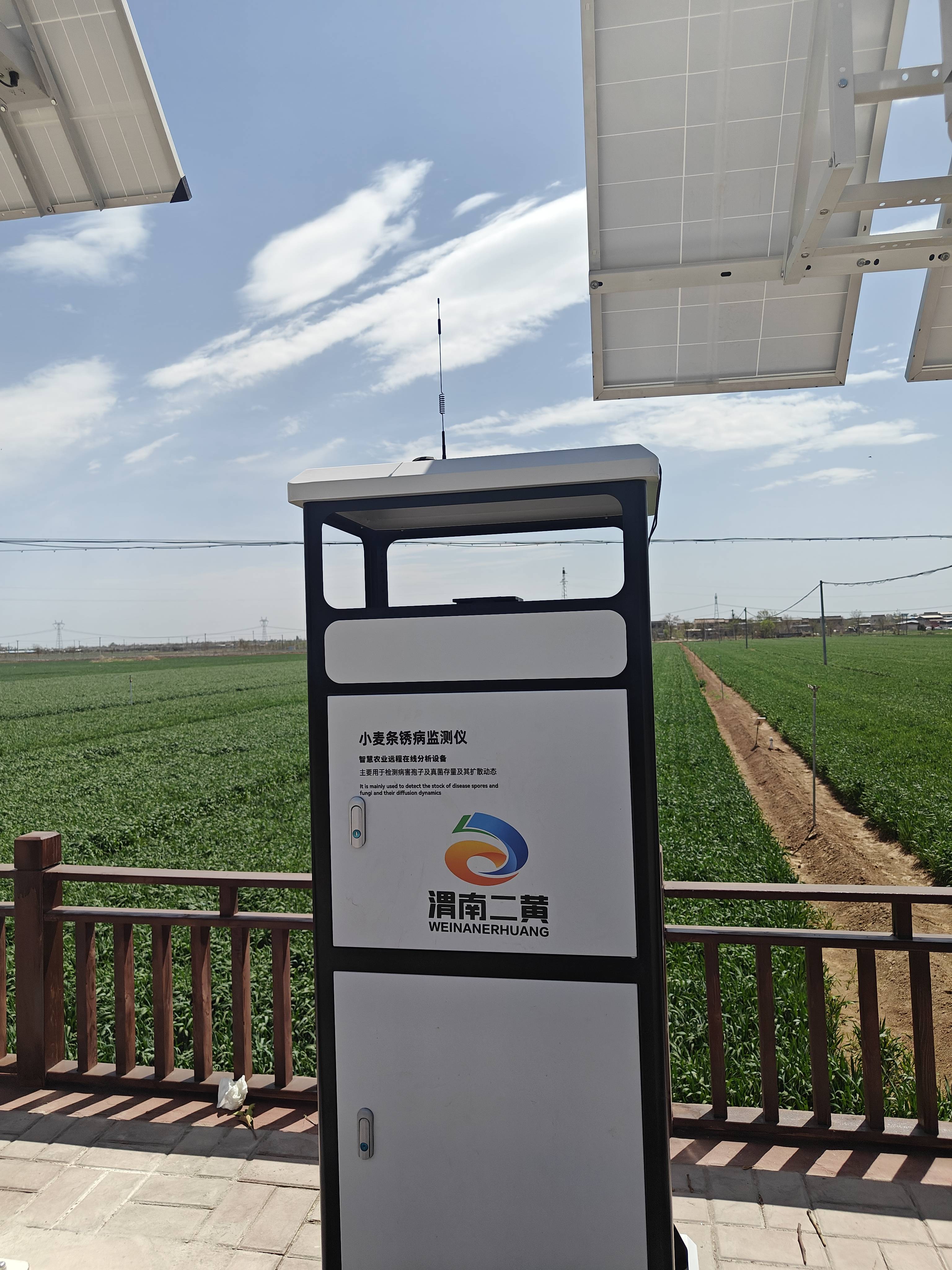 陕西渭南-高标准农田-田间监测点-四情监测设备-小麦条锈病监测仪