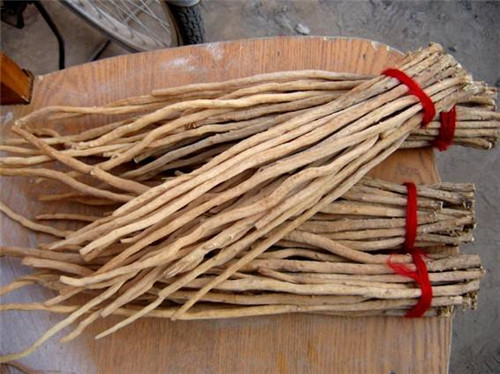 牛膝