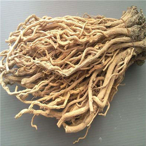 板蓝根