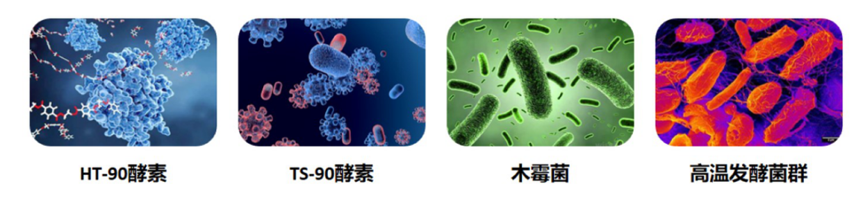 wechat_2025-09-03_172941_232