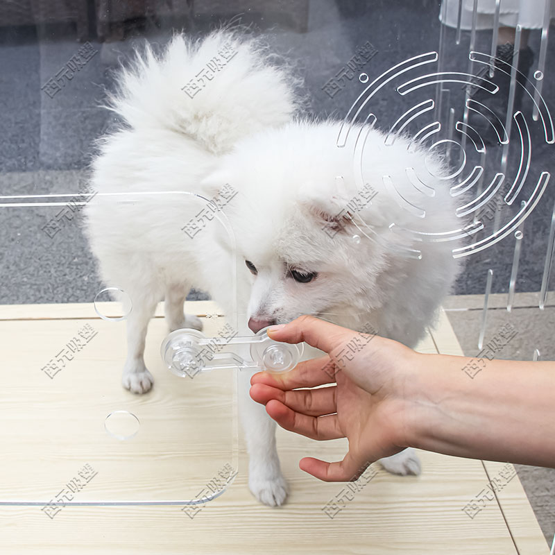 Transparent Acrylic Cat Cage Dog Hamster Cage