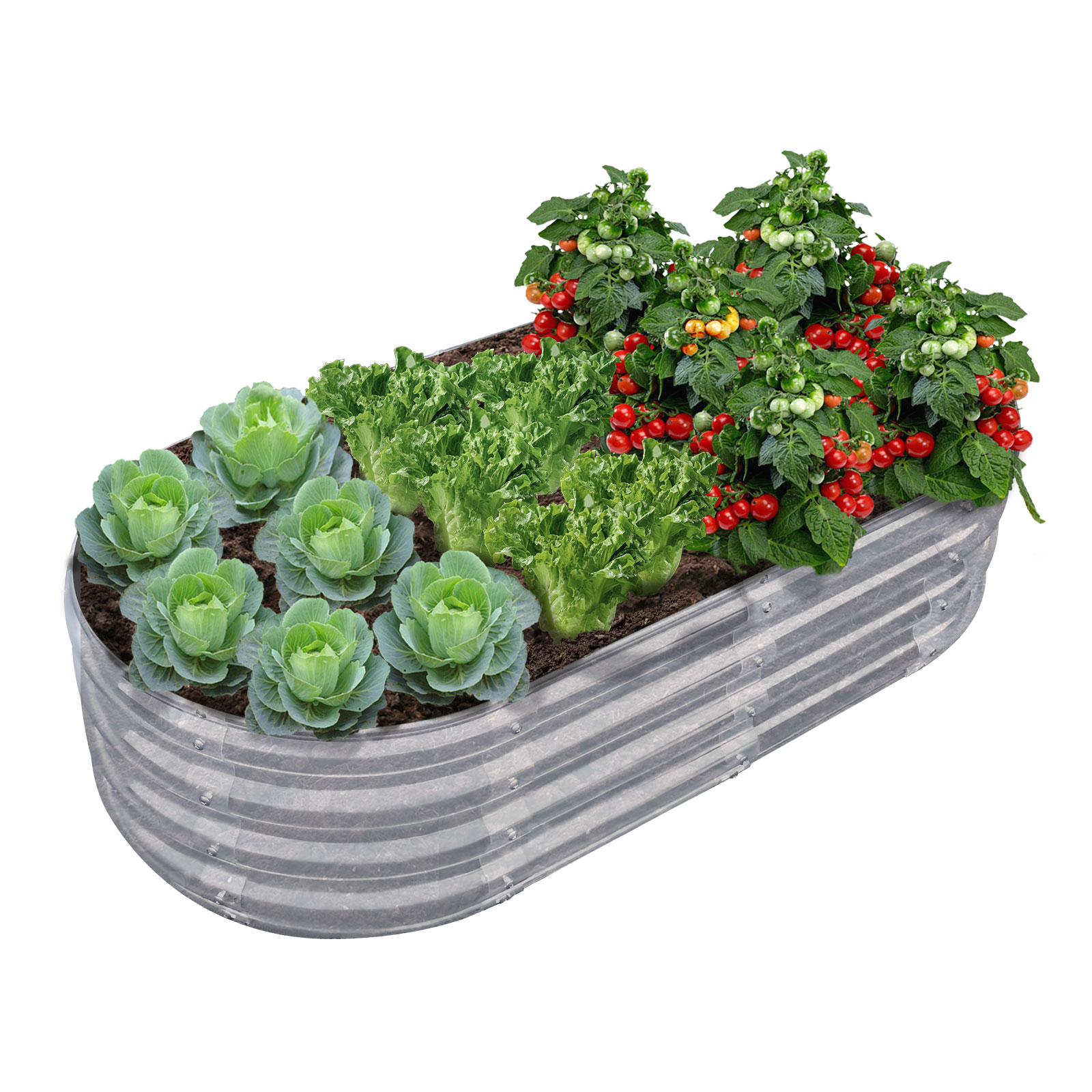 Garden Bed Made of Plastic