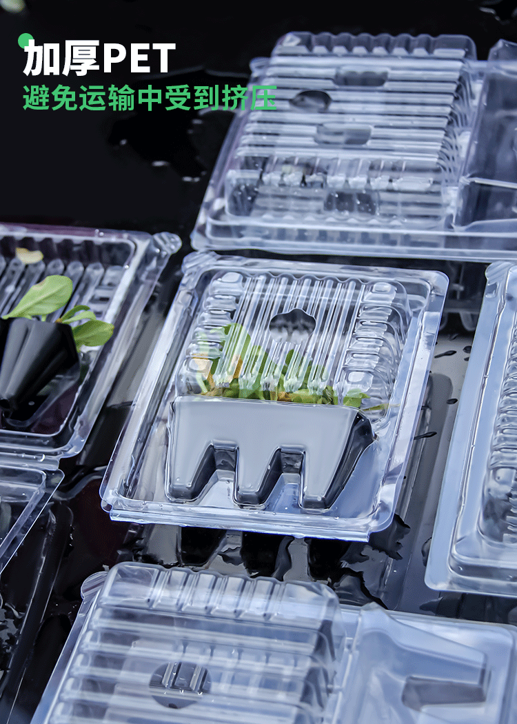 穴苗盘泡壳-详情页_04