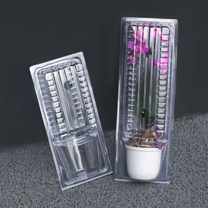 Plant Blister Packs 