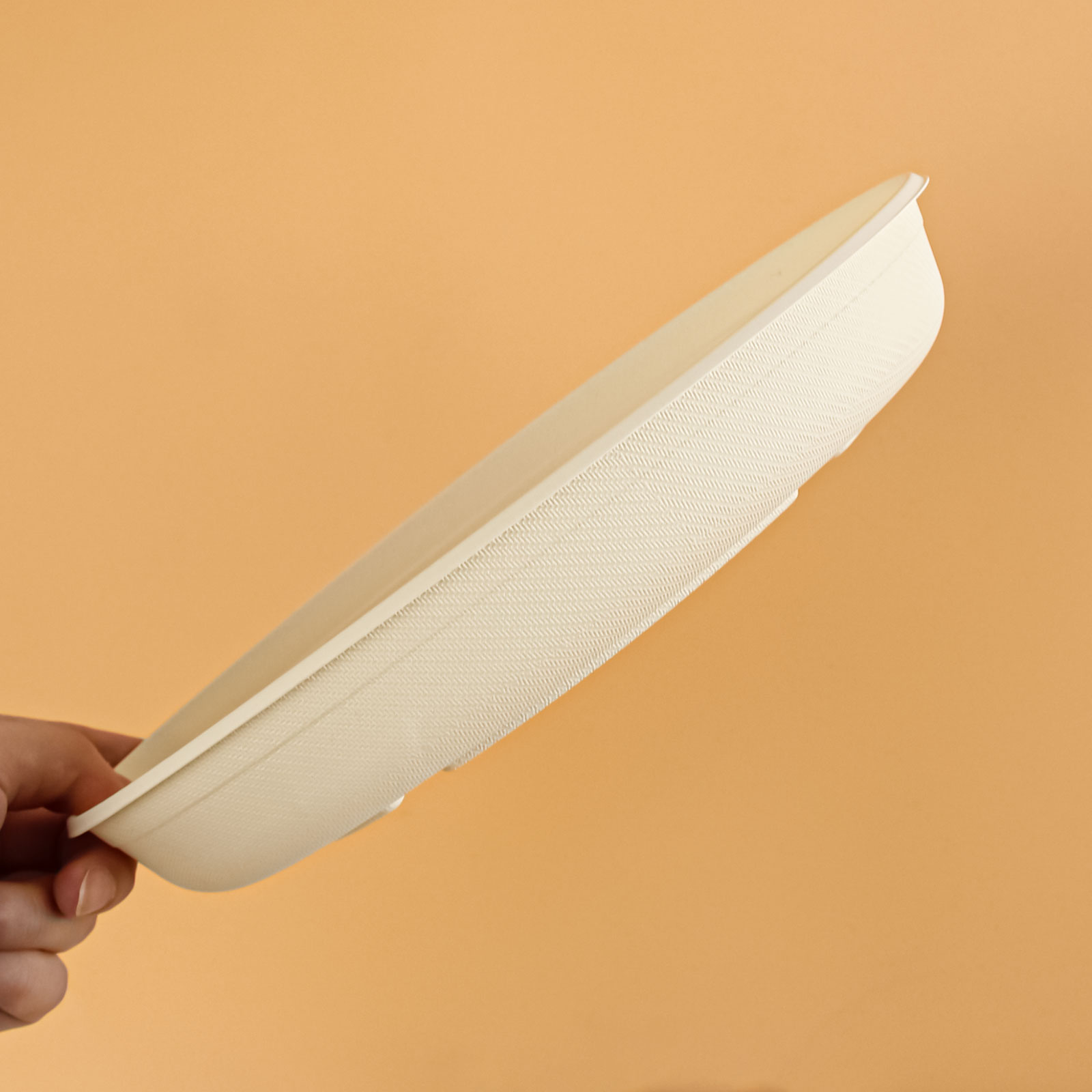 Salad Container with Lid