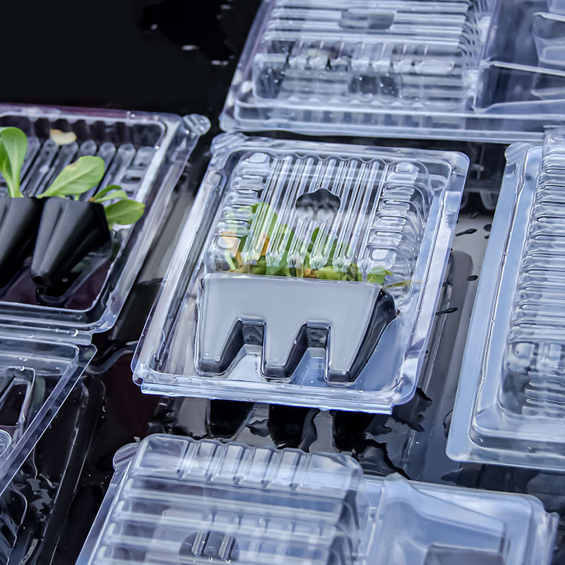 Seedling Blister Packs 