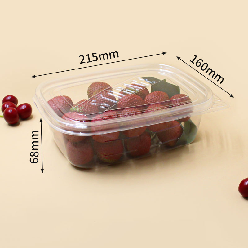 Clear Fruit Packaging Boxes