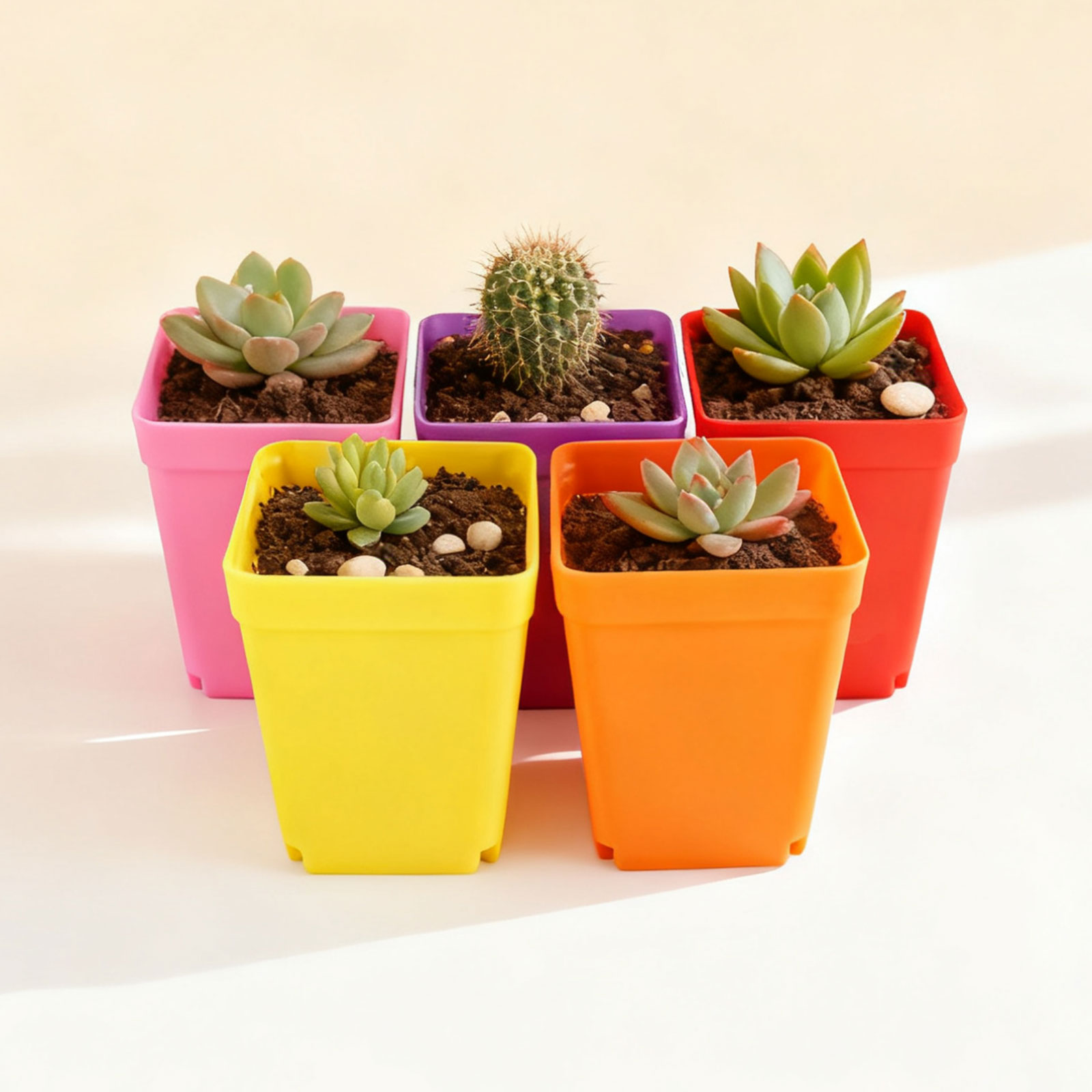 Plastic Square Planter