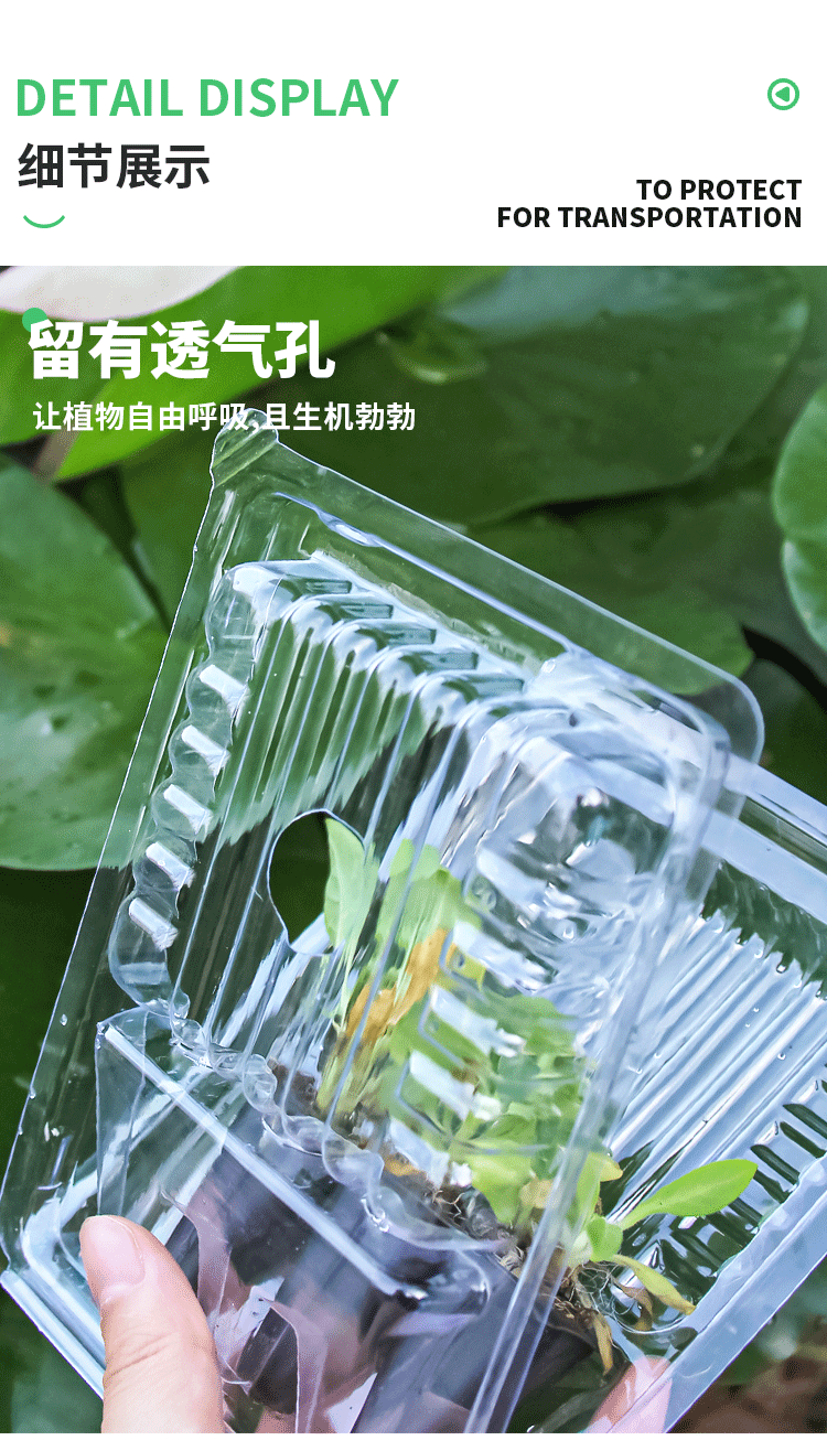 穴苗盘泡壳-详情页_09