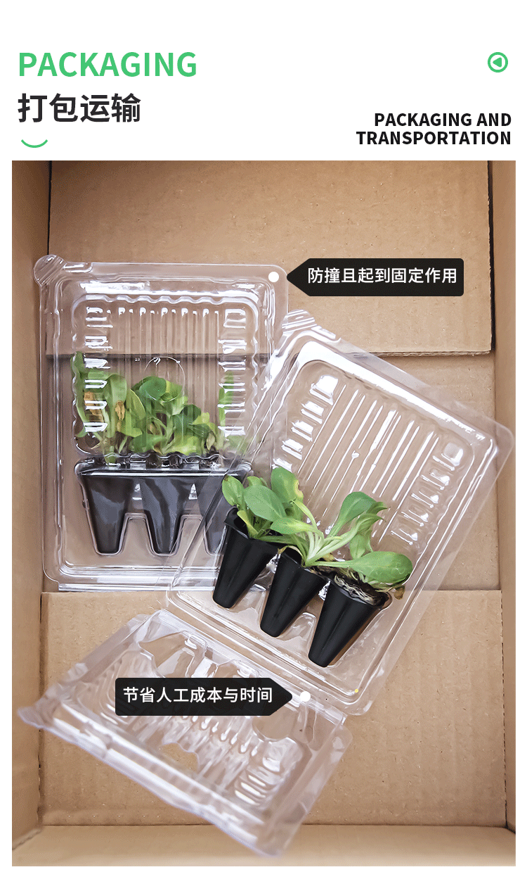 穴苗盘泡壳-详情页_07