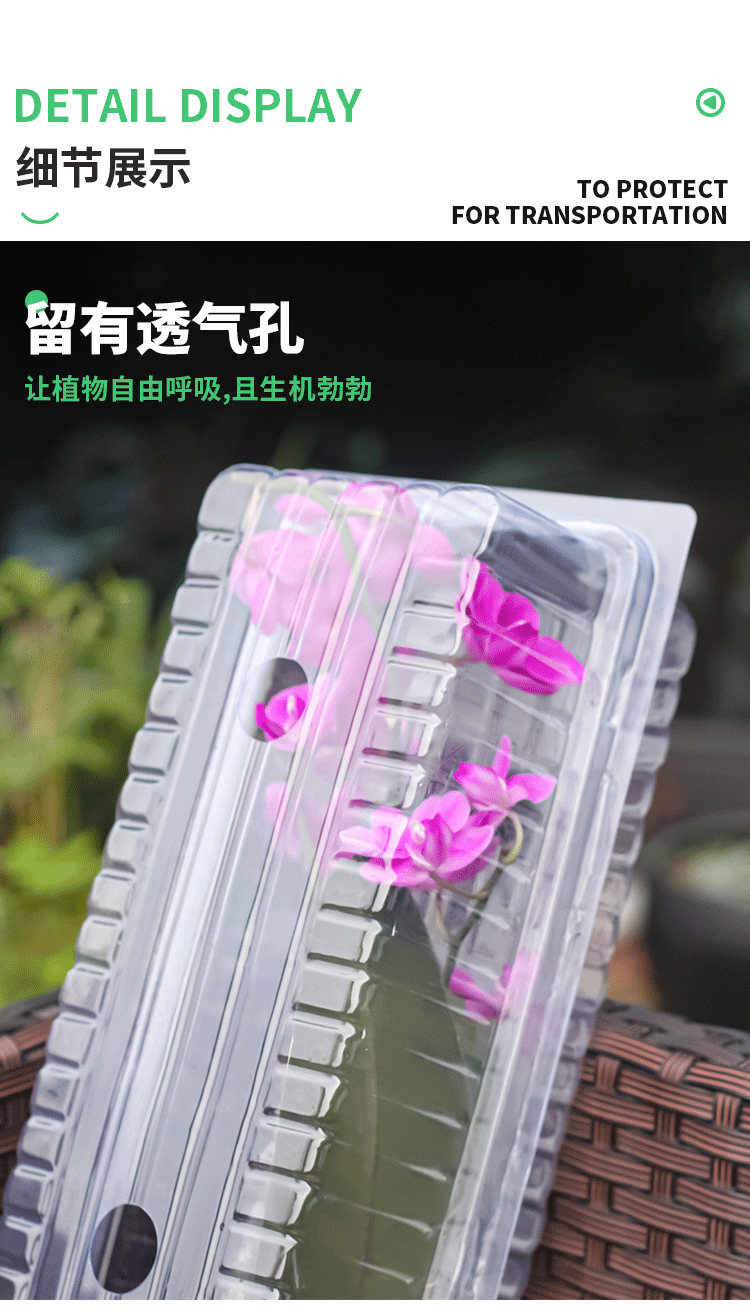 BB大号-小号泡壳-详情页_08