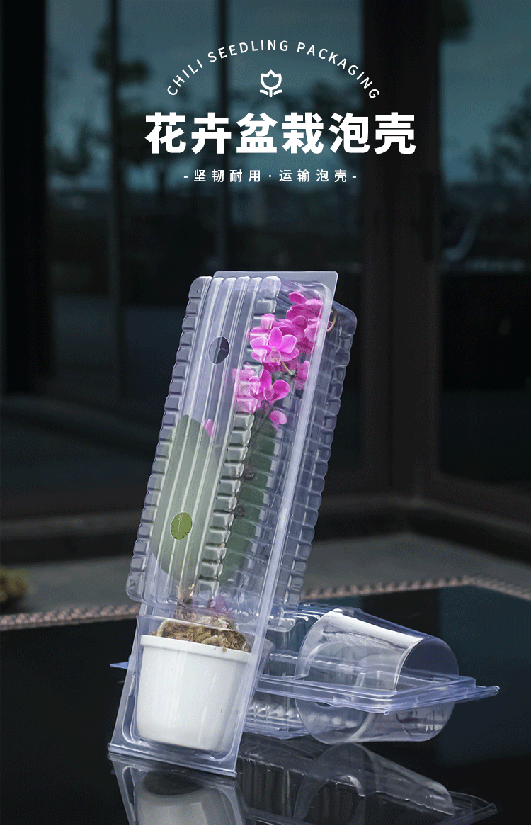 BB大号-小号泡壳-详情页_02