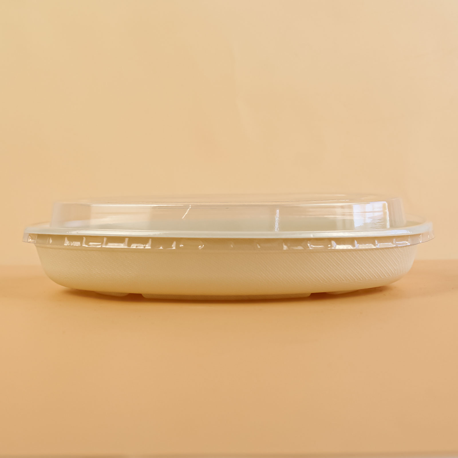 Salad Container with Lid