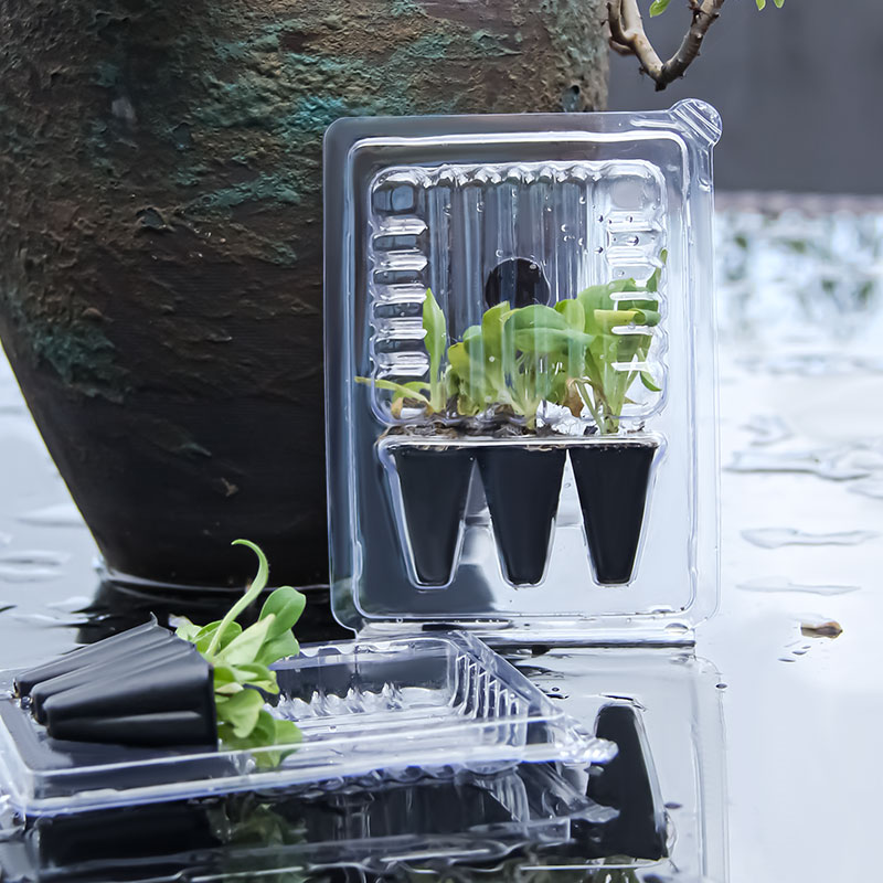 Seedling Blister Packs 