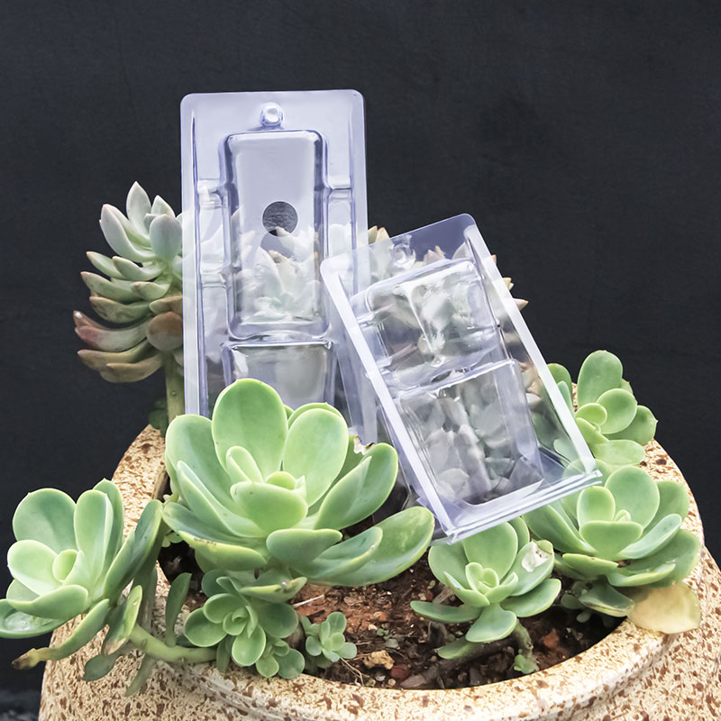 Mini Plant Blister Packs