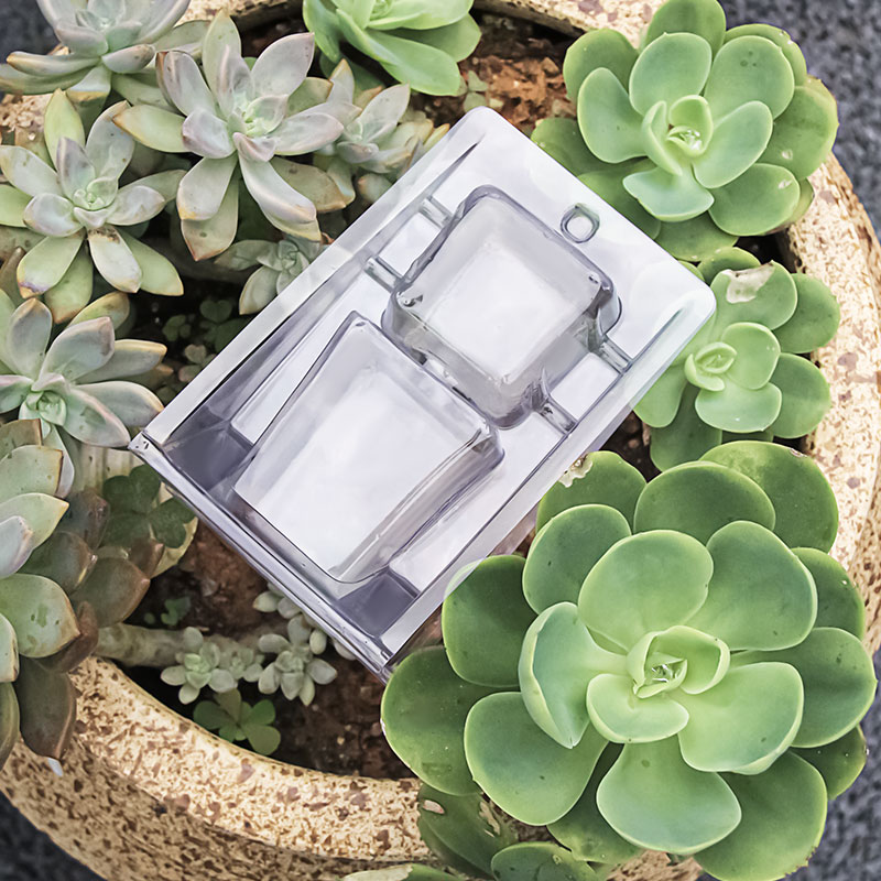 Mini Plant Blister Packs