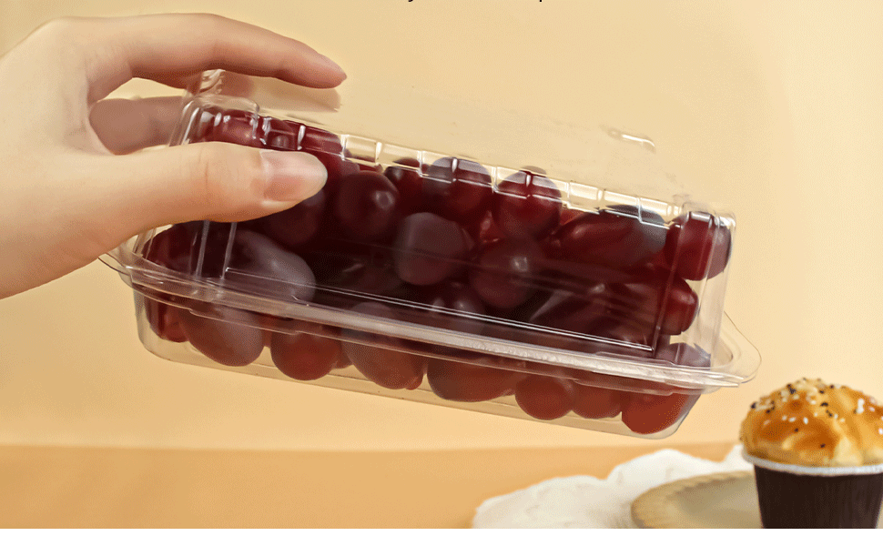 翻盖食品盒QT1288-QT1299【外贸-无线】_08