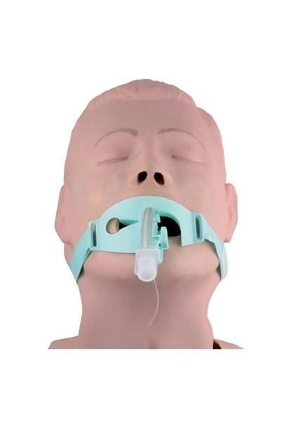 气管插管固定架