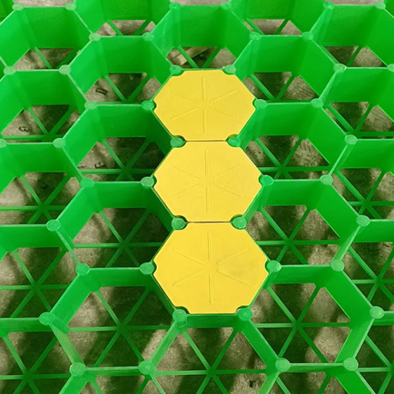 Grass Paver Height 40mm 50mm 40mm Used for Grass Driveway Car Parking Lot