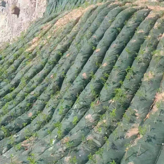 Geobag for Road Slope Protection Ecological Nonwoven Geotextile Grow Bag
