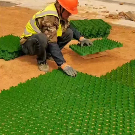 Grass Paver for Garden Outdoor Landscape Park Road Parking Lot Walkway