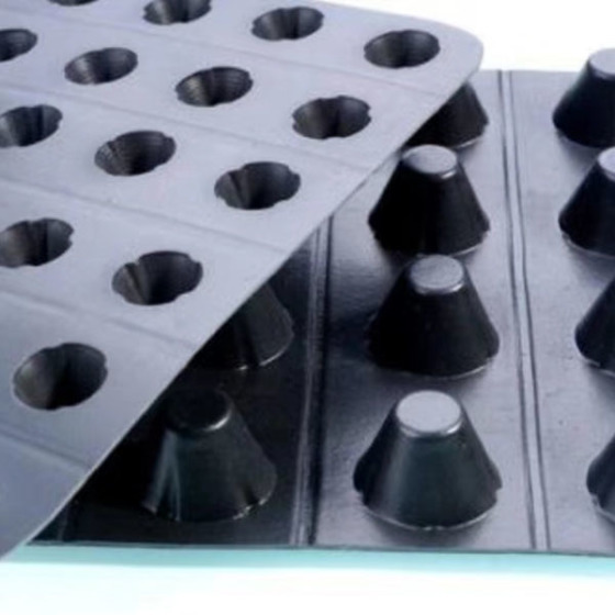 Drainage Board for Green Roof Drain System