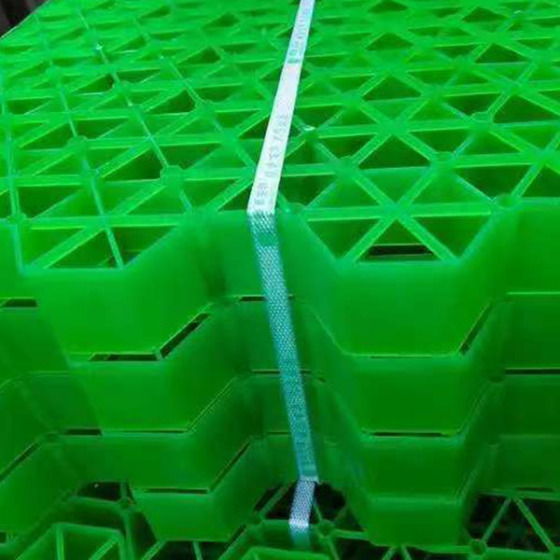 Grass Paver for Garden Outdoor Landscape Park Road Parking Lot Walkway