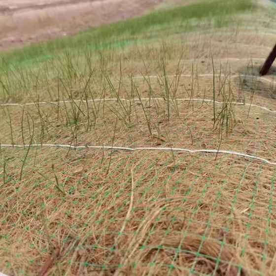 Coconut Fiber Blanket Coir Blanket for Slope Protection and Erosion Control